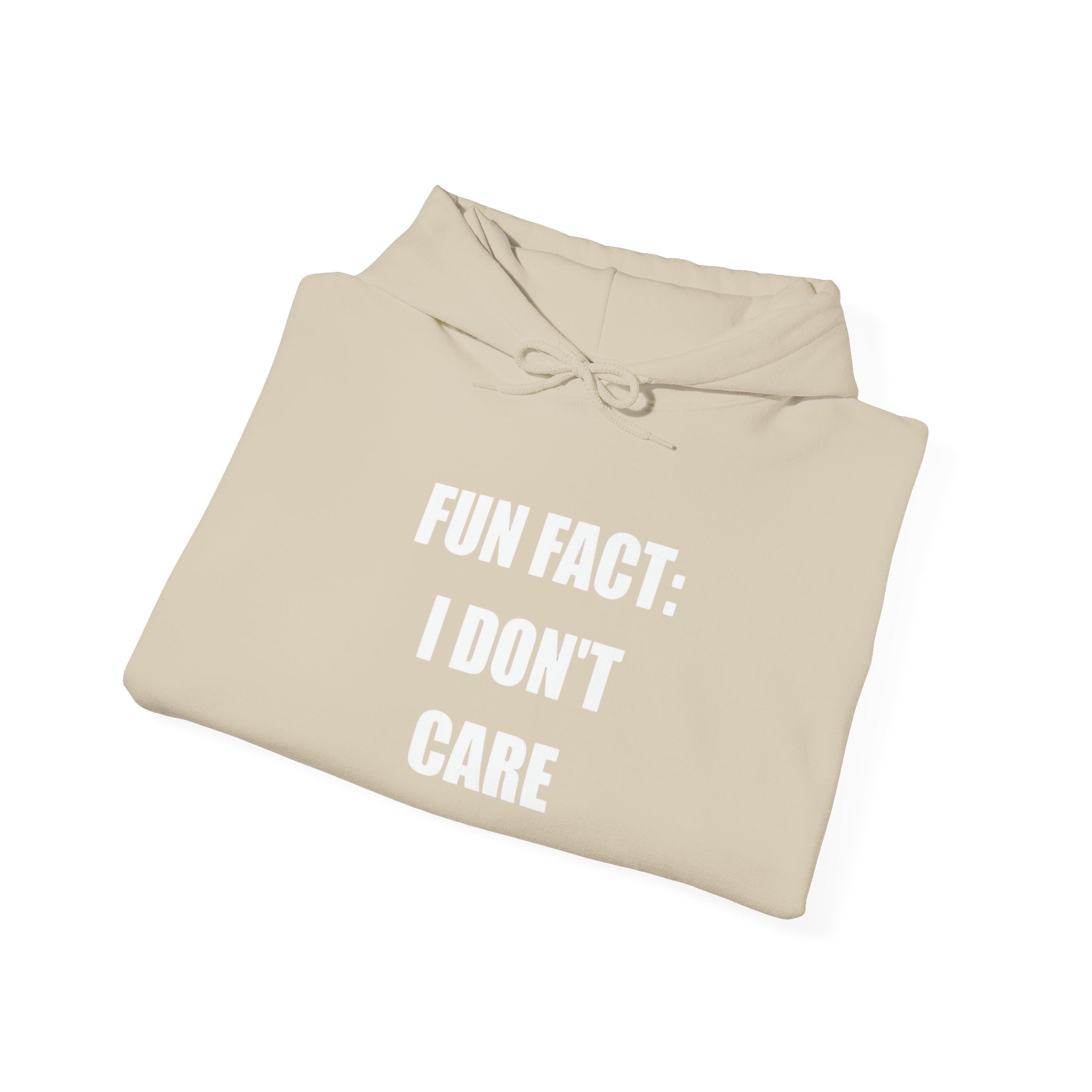 Hoodie — "Fun Fact: I Don't Care" Graphic Pullover