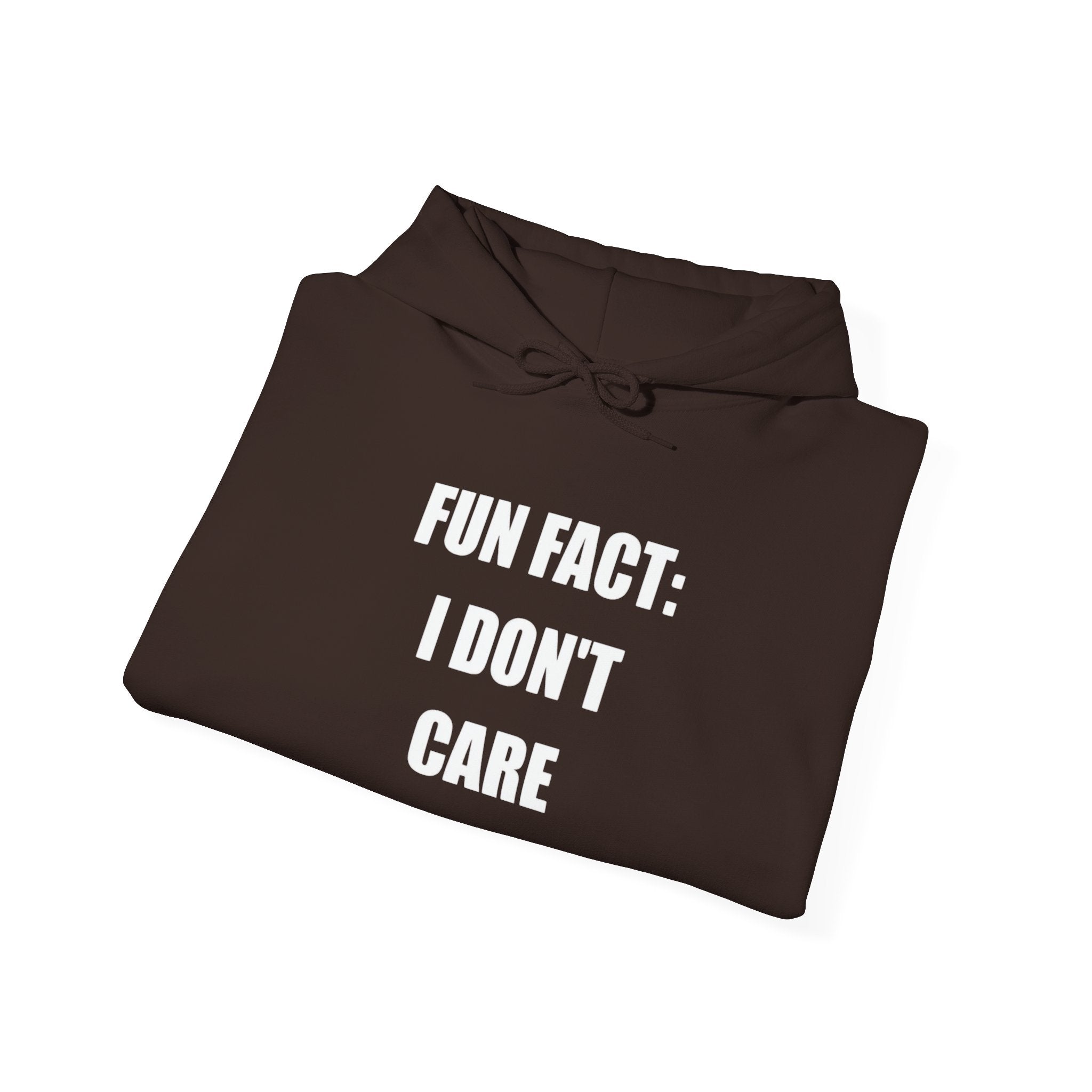 Hoodie — "Fun Fact: I Don't Care" Graphic Pullover