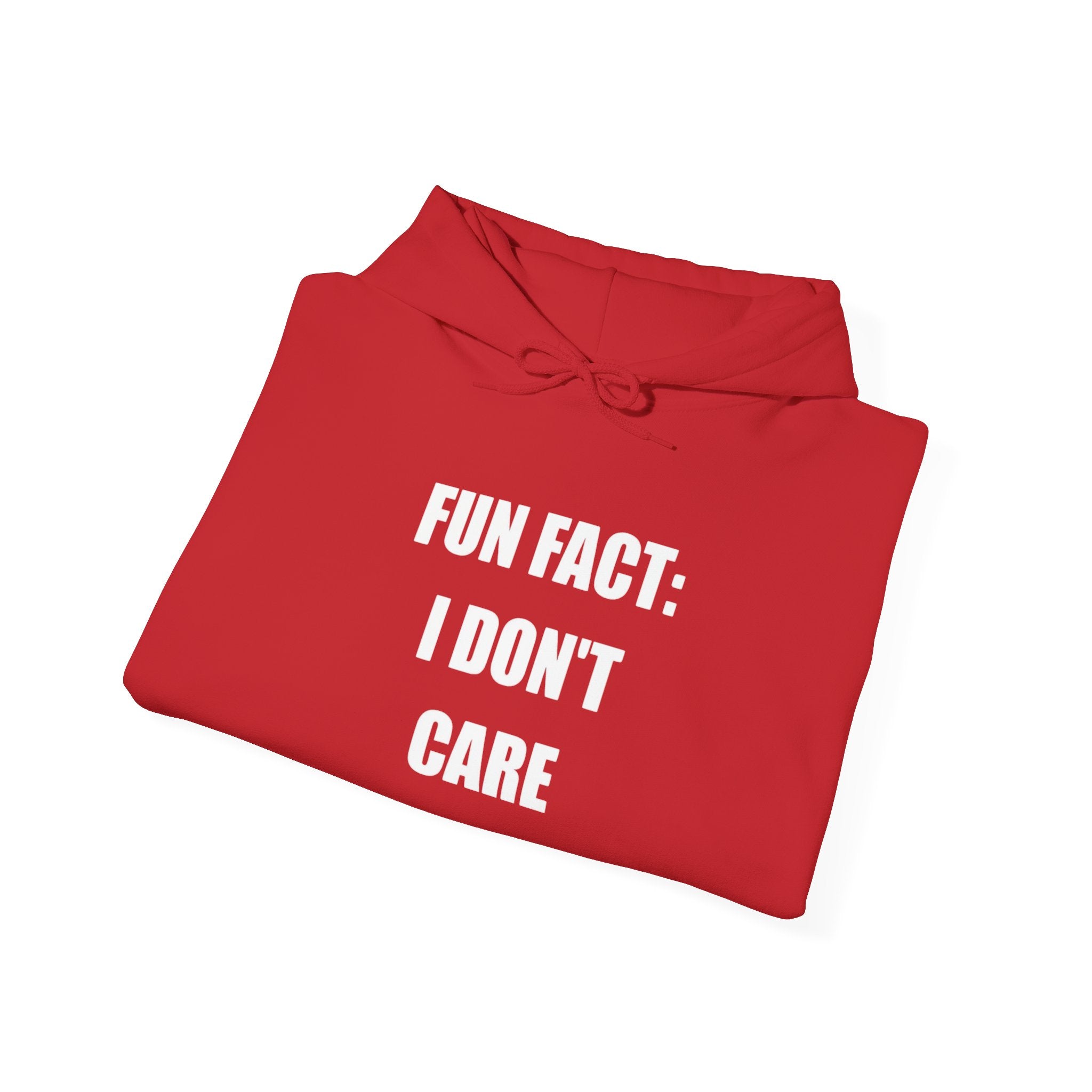 Hoodie — "Fun Fact: I Don't Care" Graphic Pullover