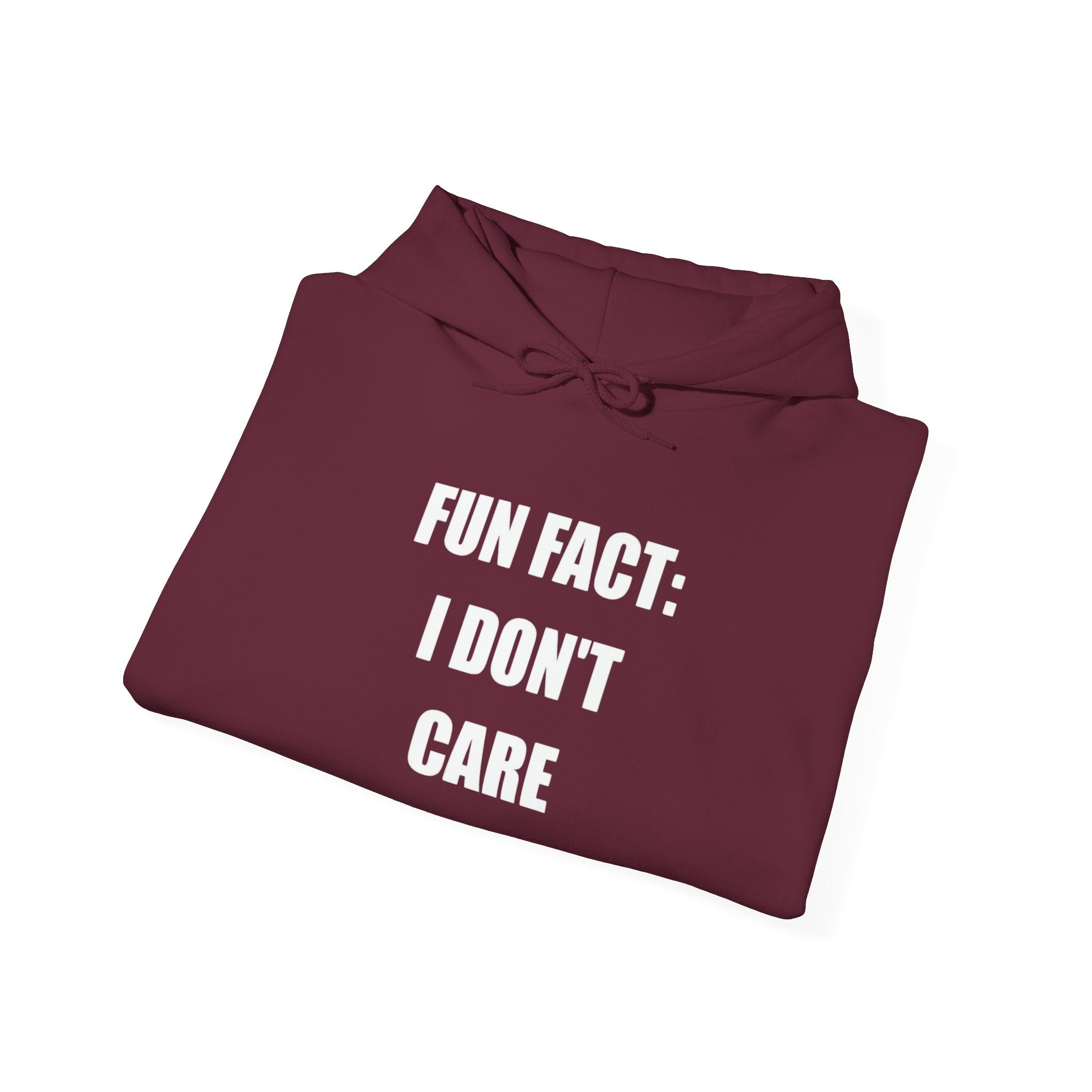 Hoodie — "Fun Fact: I Don't Care" Graphic Pullover