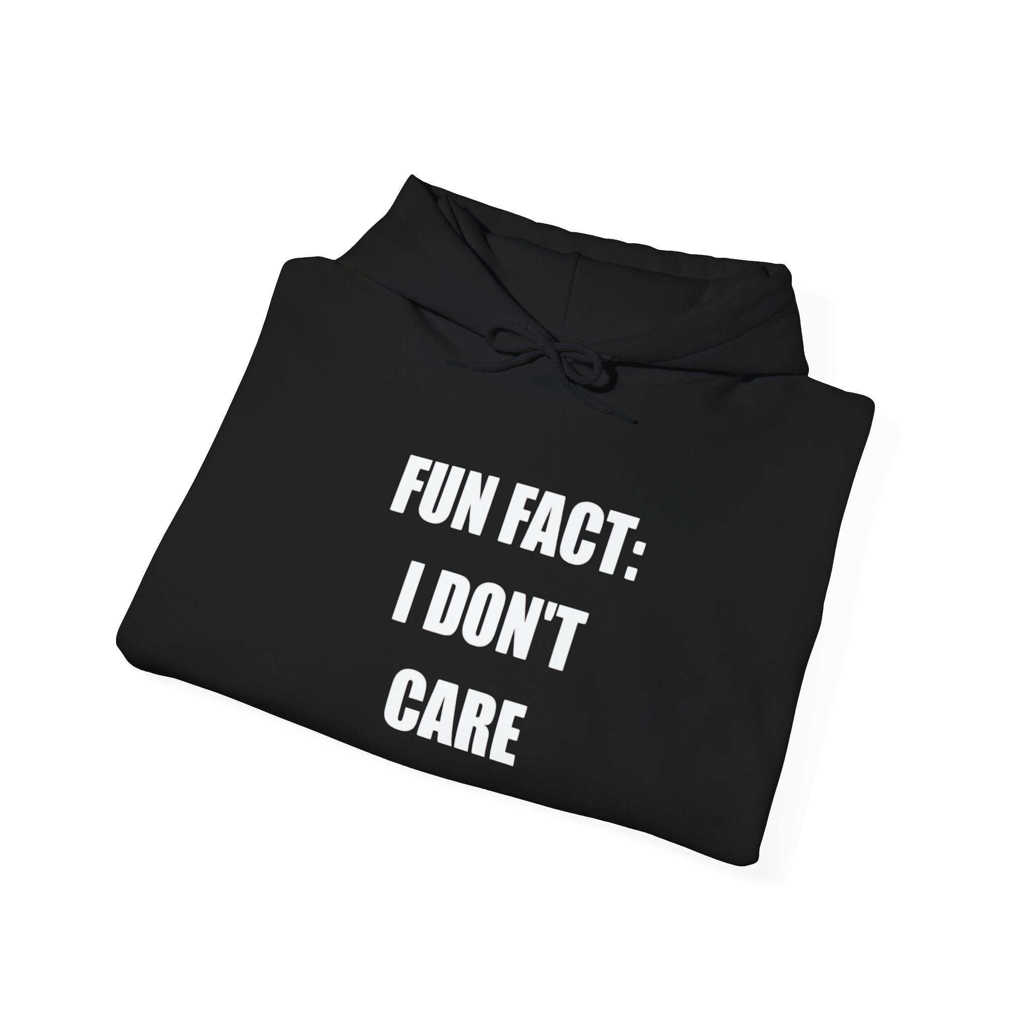 Hoodie — "Fun Fact: I Don't Care" Graphic Pullover