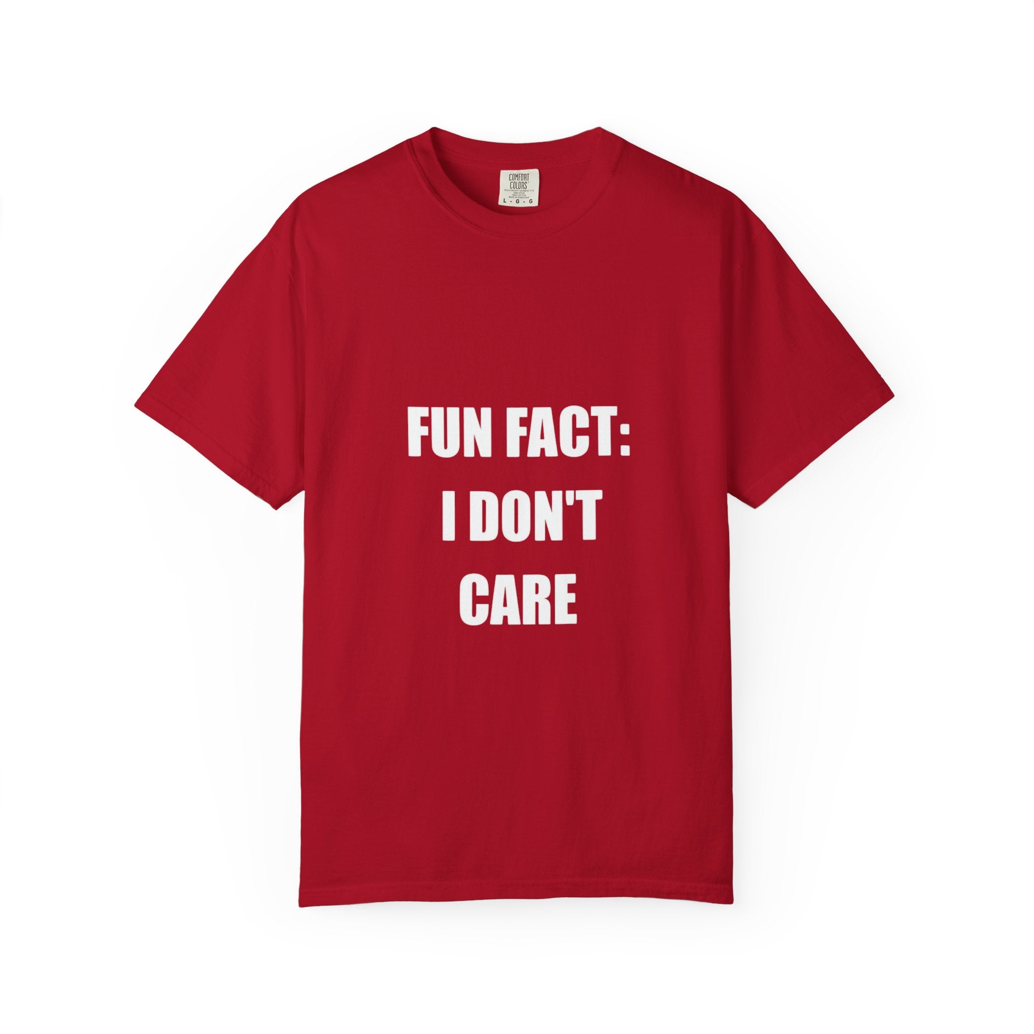 I Don't Care T-Shirt — Funny Graphic Tee, 'FUN FACT: I DON'T CARE' Casual Statement Shirt