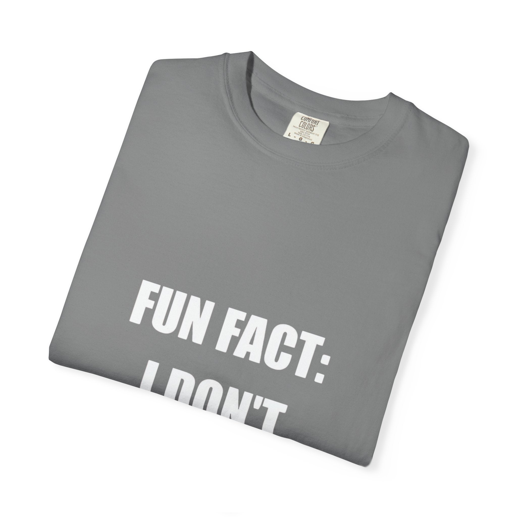 I Don't Care T-Shirt — Funny Graphic Tee, 'FUN FACT: I DON'T CARE' Casual Statement Shirt