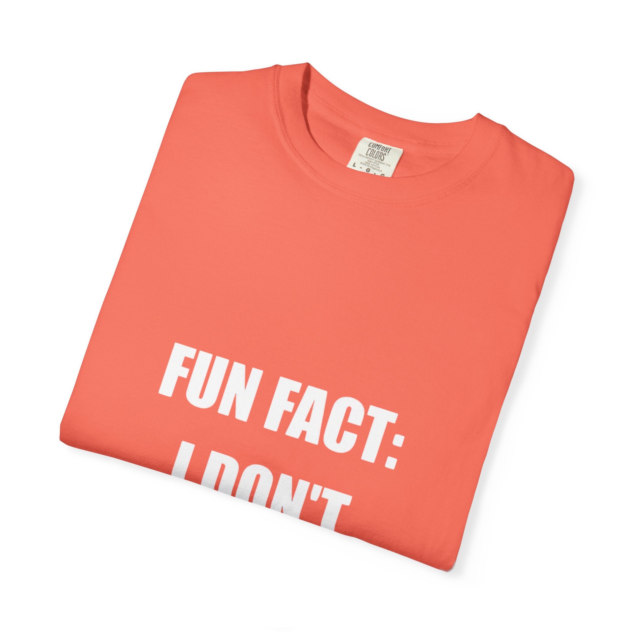 I Don't Care T-Shirt — Funny Graphic Tee, 'FUN FACT: I DON'T CARE' Casual Statement Shirt