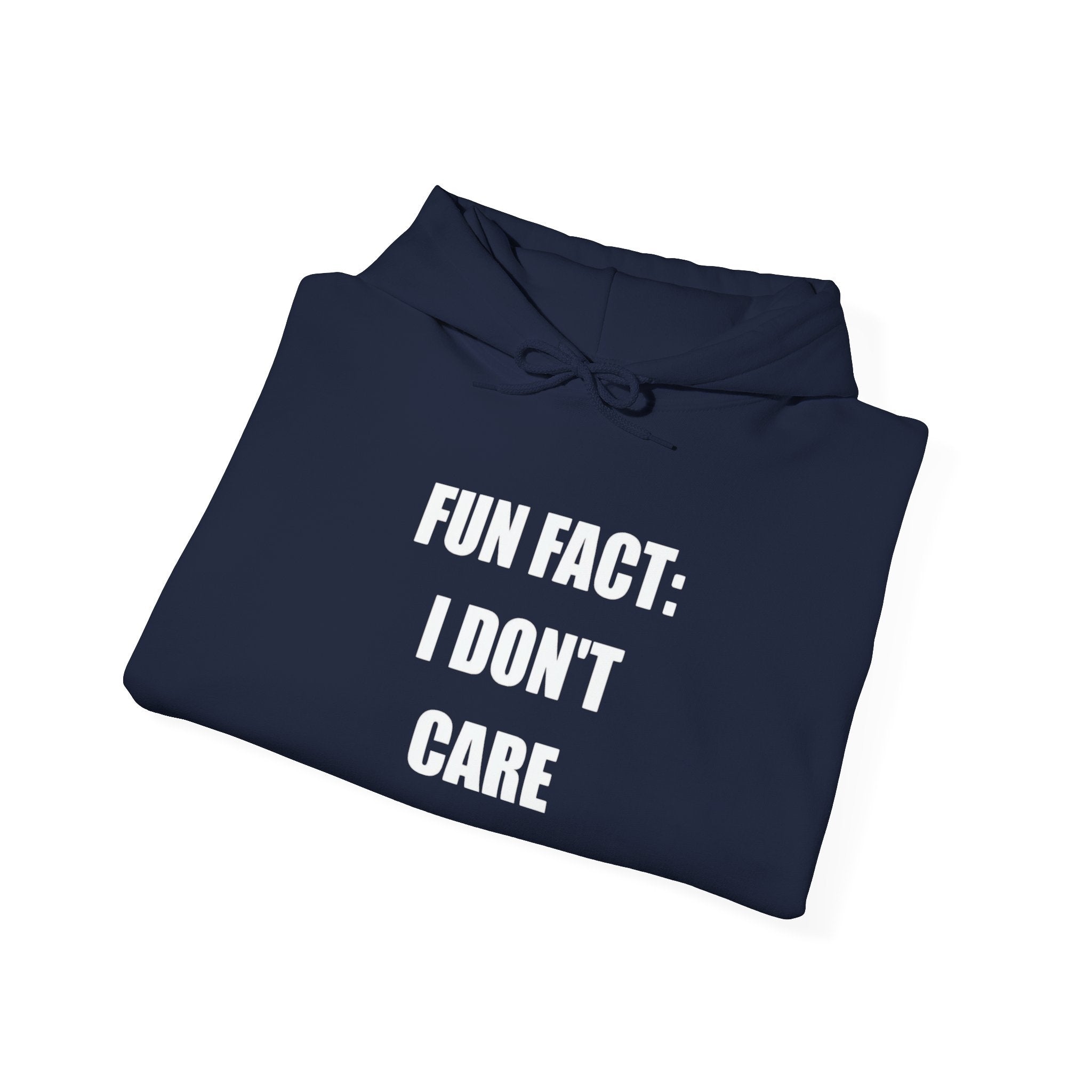 Hoodie — "Fun Fact: I Don't Care" Graphic Pullover