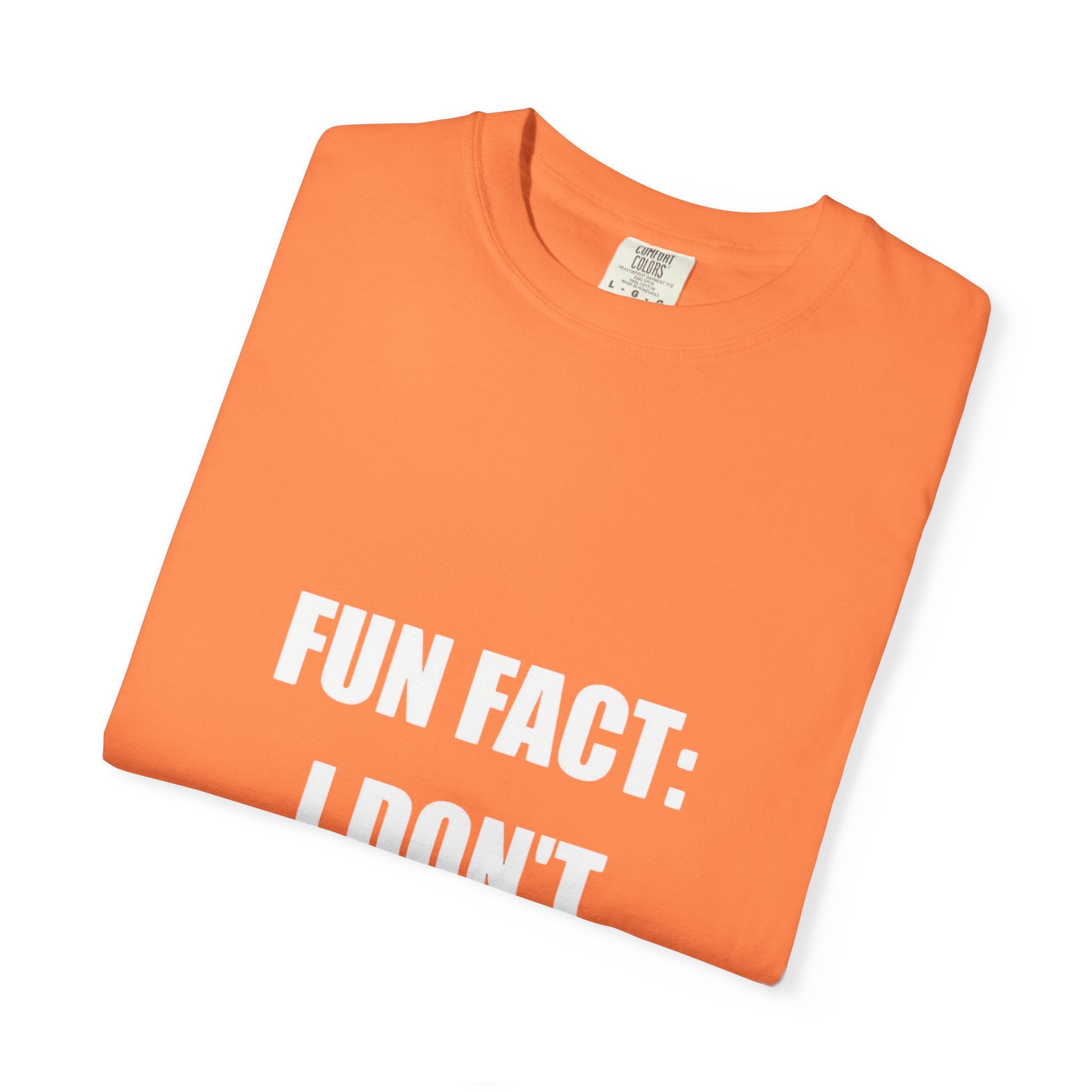 I Don't Care T-Shirt — Funny Graphic Tee, 'FUN FACT: I DON'T CARE' Casual Statement Shirt