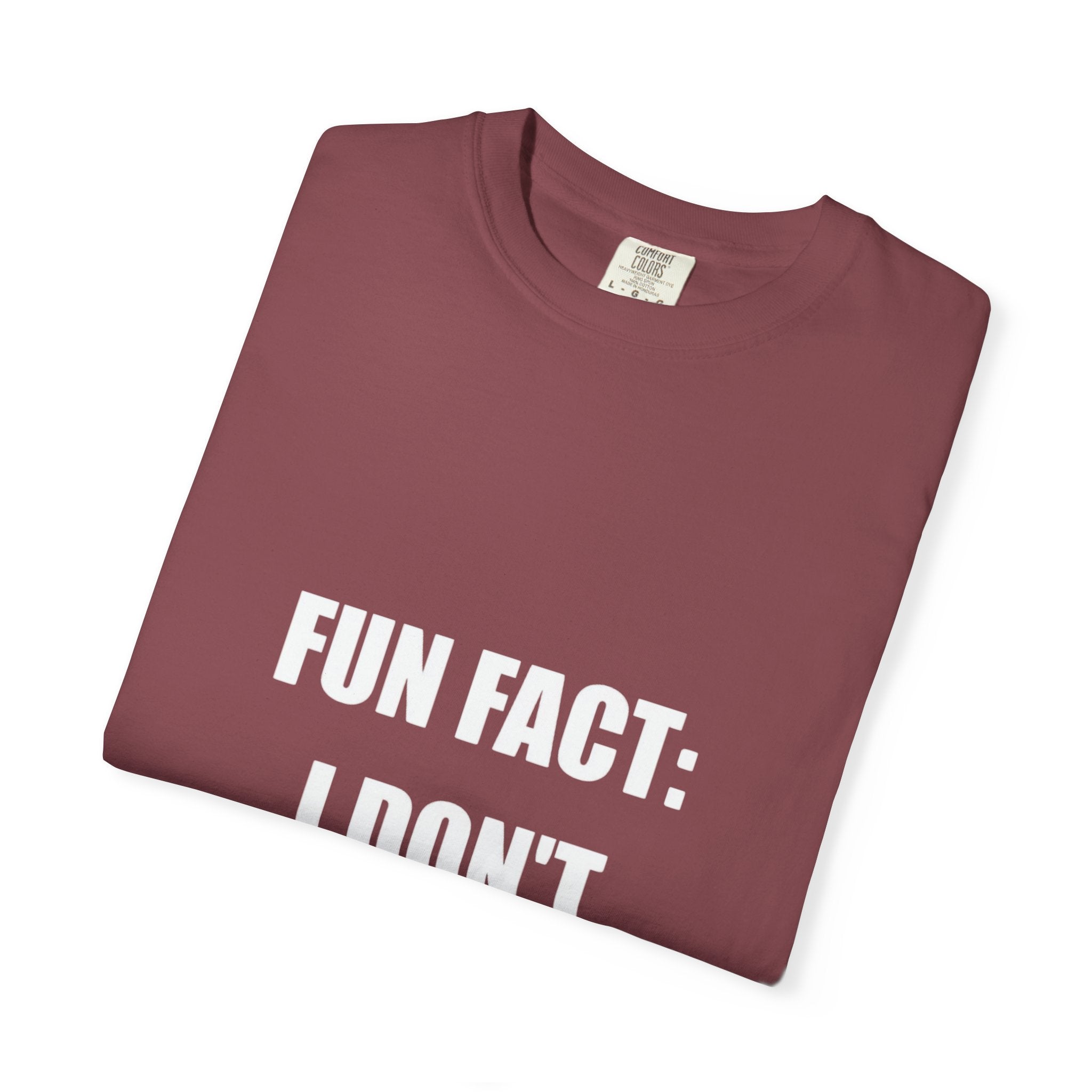 I Don't Care T-Shirt — Funny Graphic Tee, 'FUN FACT: I DON'T CARE' Casual Statement Shirt