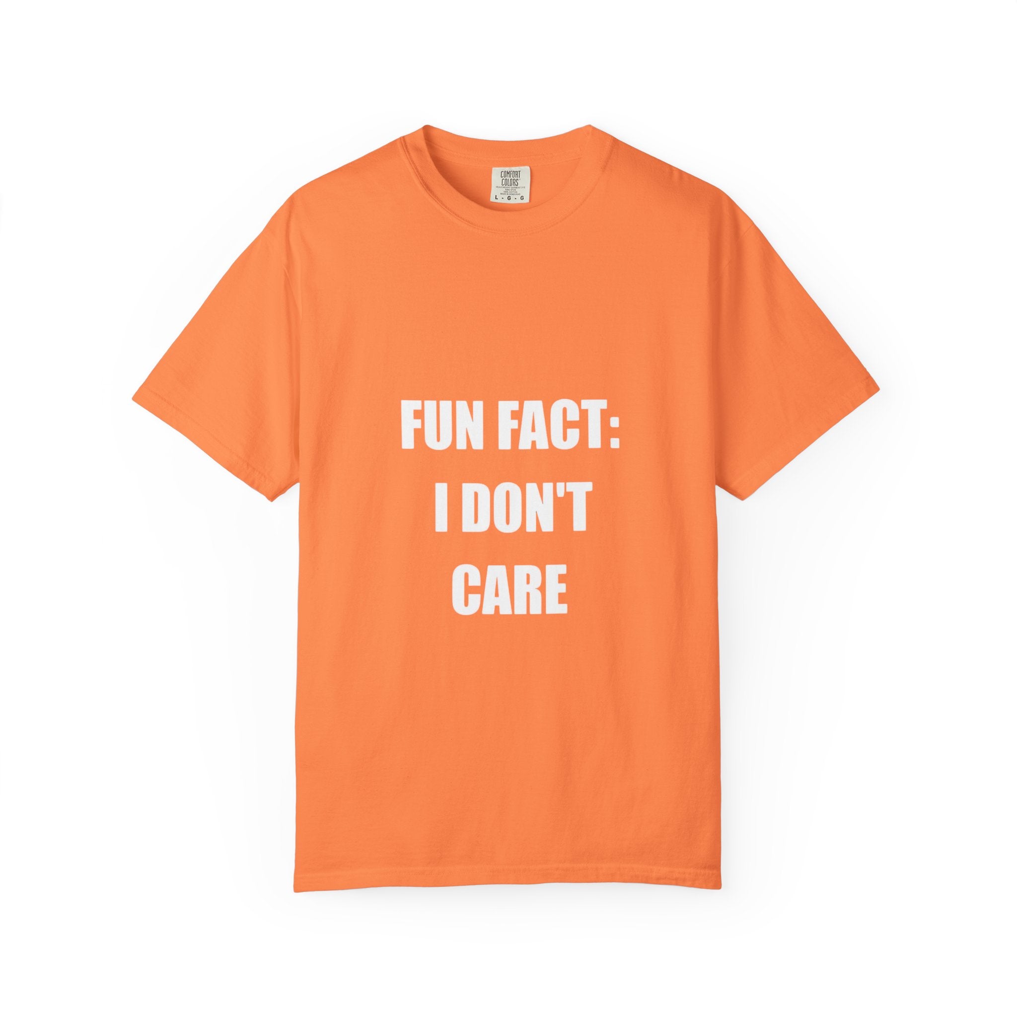 I Don't Care T-Shirt — Funny Graphic Tee, 'FUN FACT: I DON'T CARE' Casual Statement Shirt