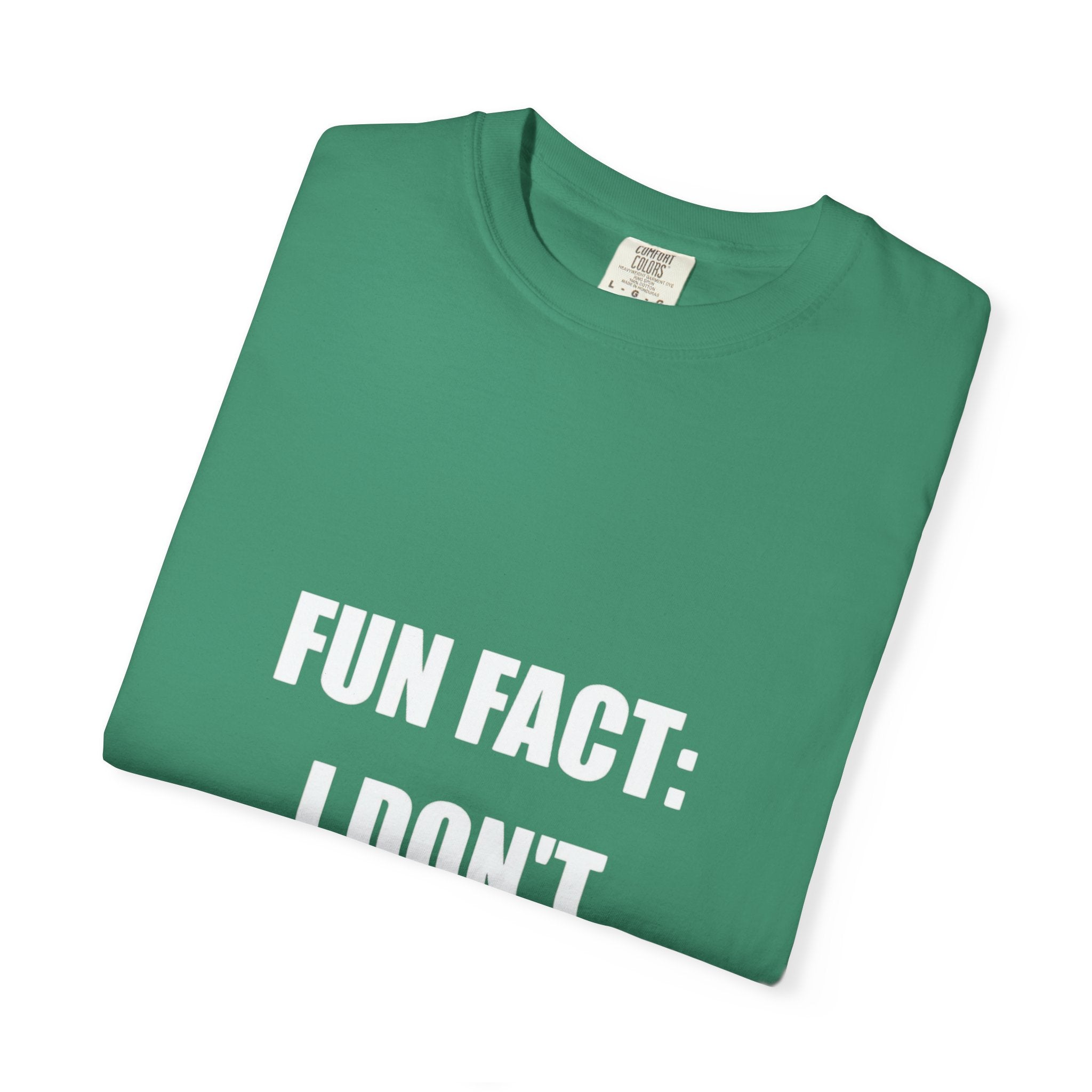 I Don't Care T-Shirt — Funny Graphic Tee, 'FUN FACT: I DON'T CARE' Casual Statement Shirt