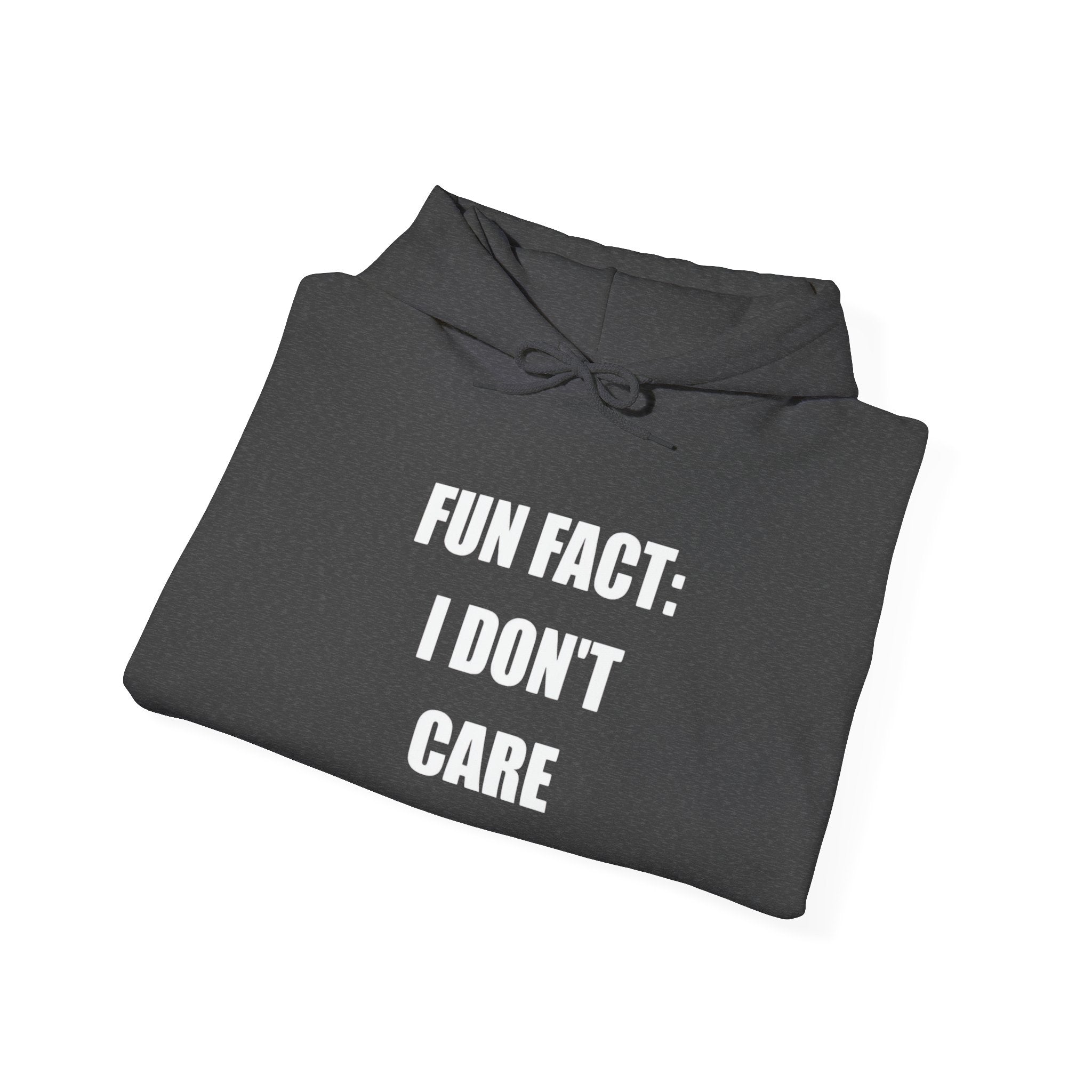 Hoodie — "Fun Fact: I Don't Care" Graphic Pullover