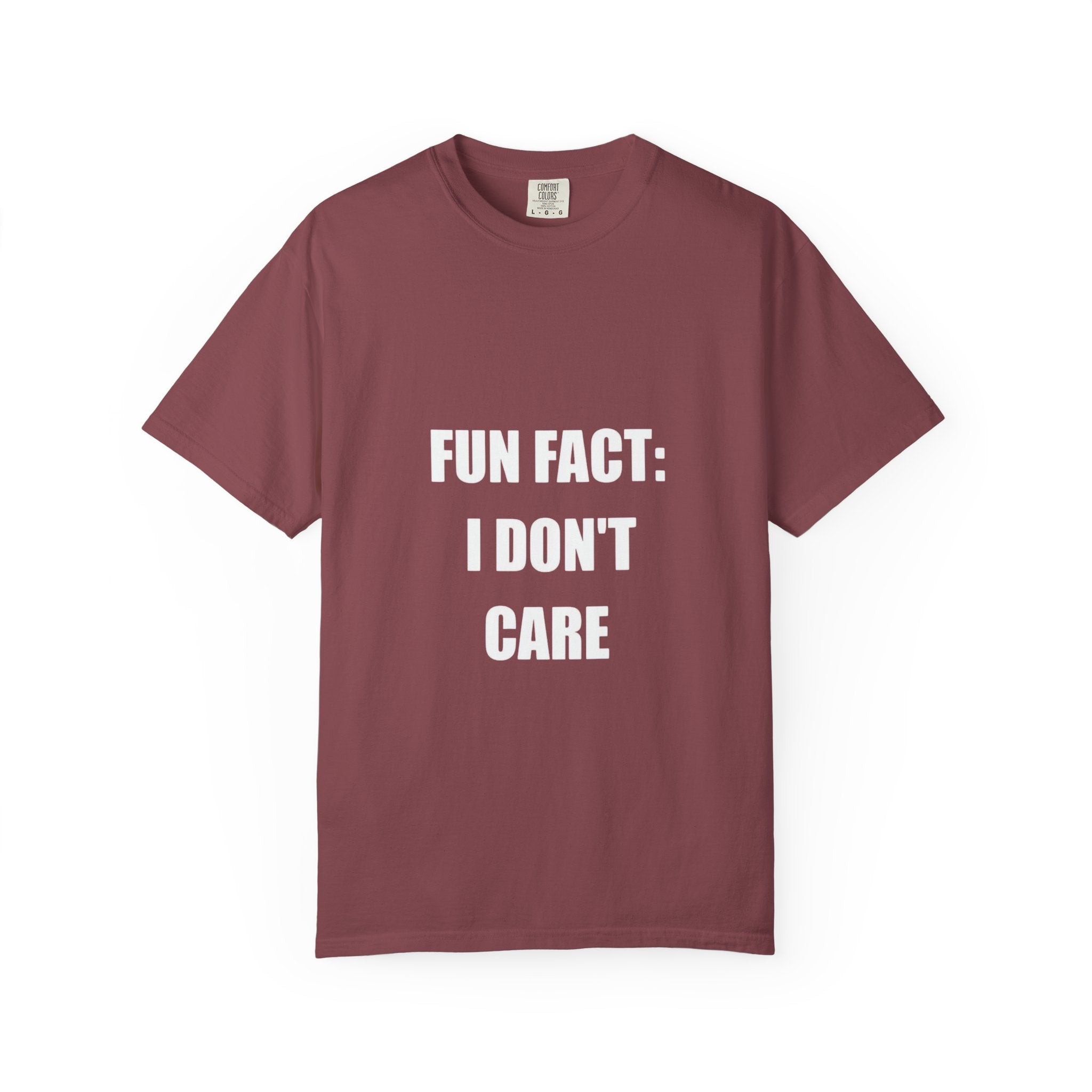 I Don't Care T-Shirt — Funny Graphic Tee, 'FUN FACT: I DON'T CARE' Casual Statement Shirt