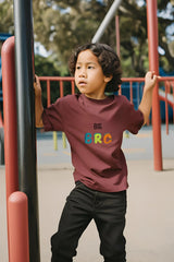 Boys Maroon Round Neck Half Sleeve Big Bro T-shirt