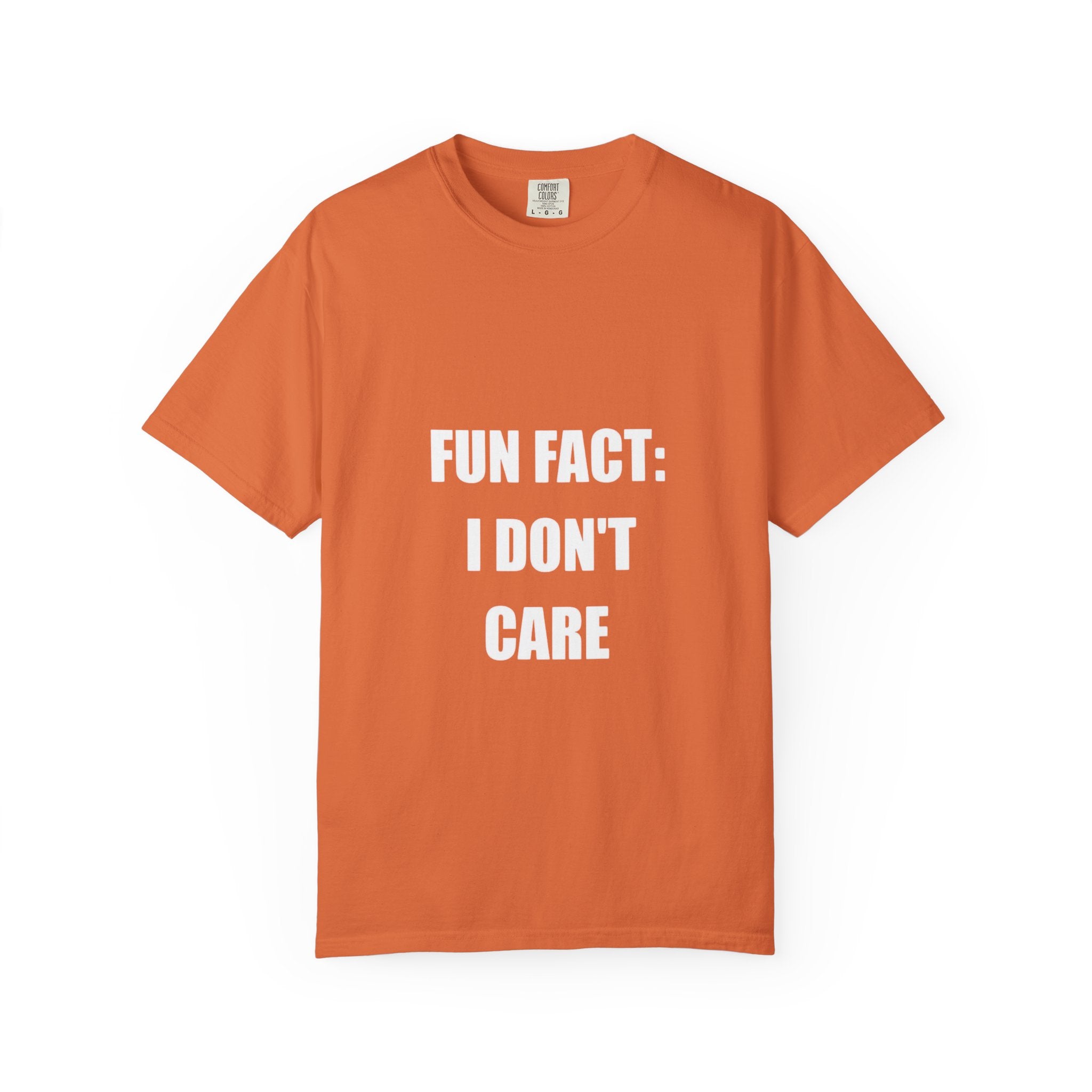 I Don't Care T-Shirt — Funny Graphic Tee, 'FUN FACT: I DON'T CARE' Casual Statement Shirt