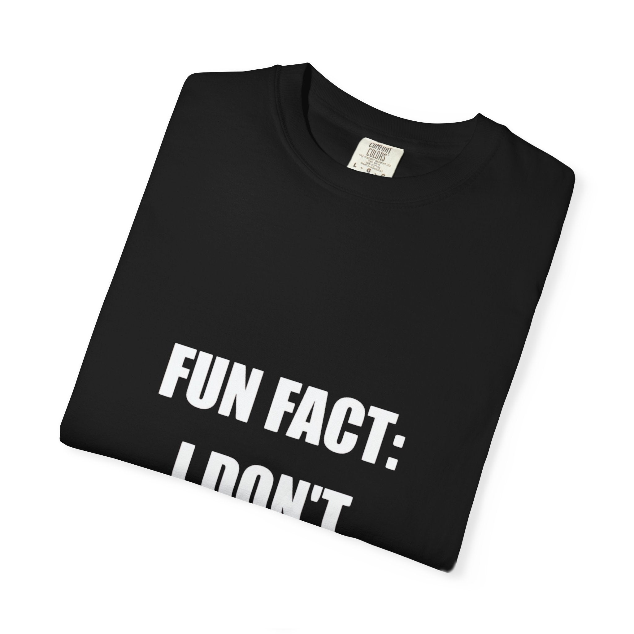I Don't Care T-Shirt — Funny Graphic Tee, 'FUN FACT: I DON'T CARE' Casual Statement Shirt