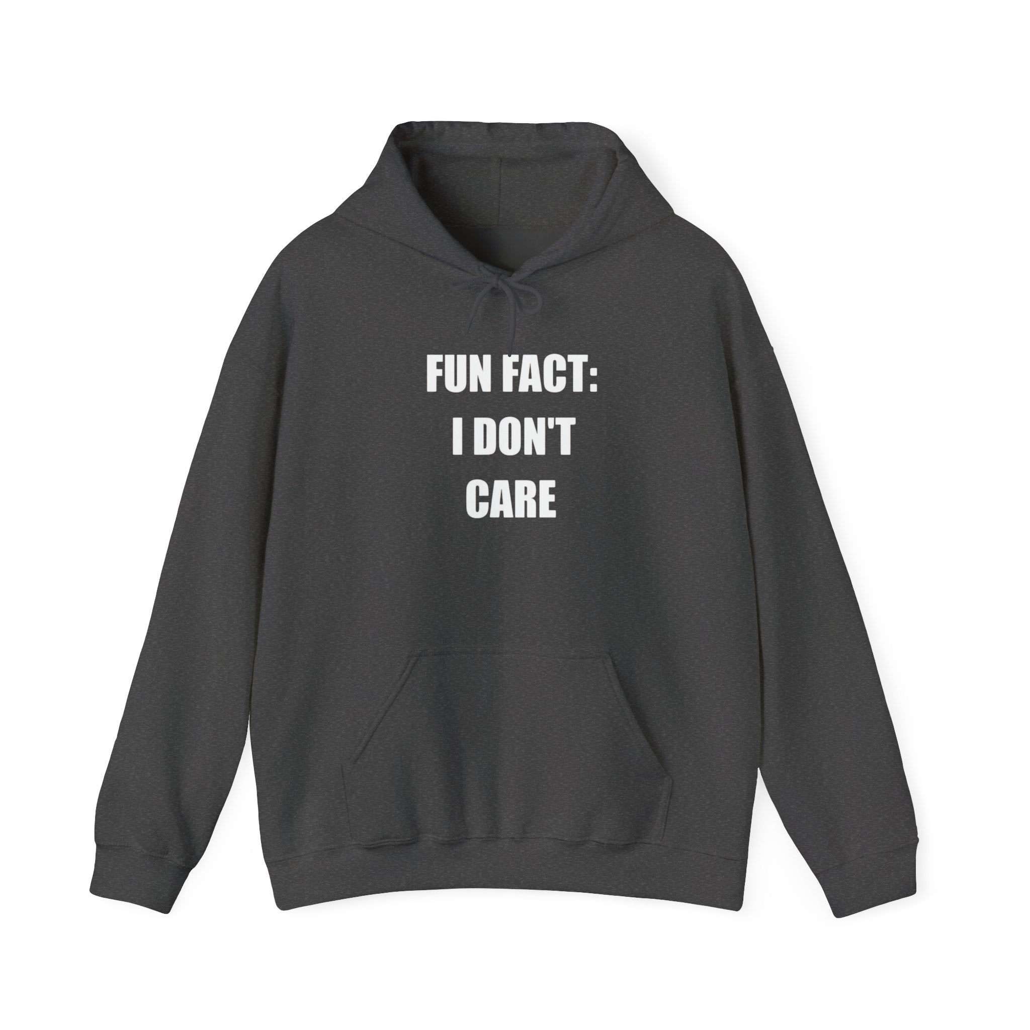 Hoodie — "Fun Fact: I Don't Care" Graphic Pullover