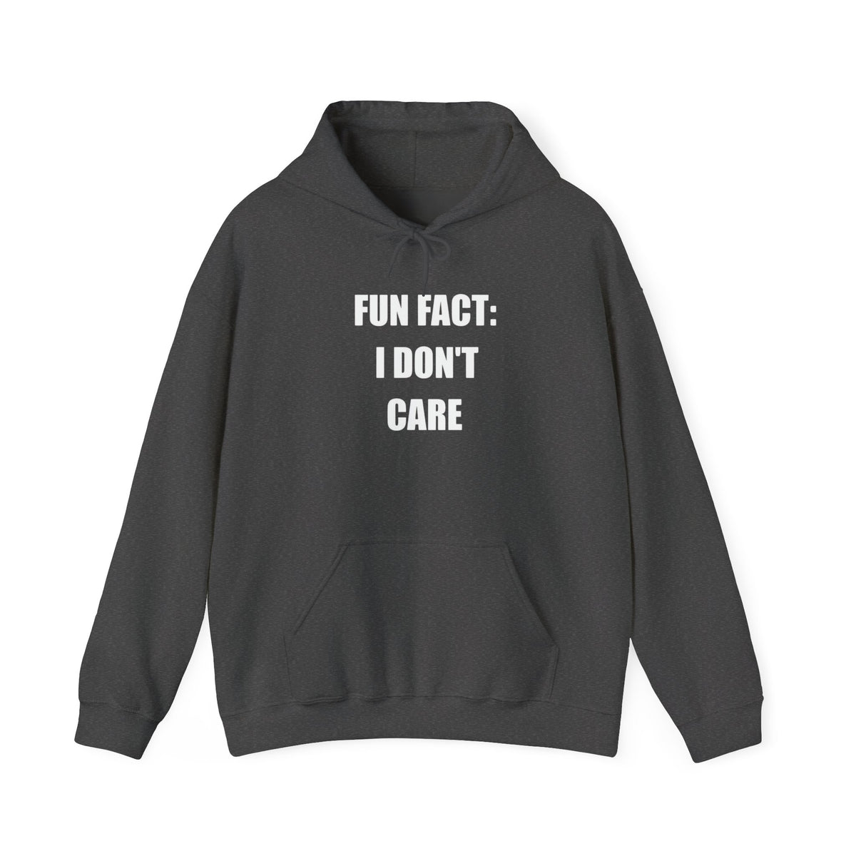 Hoodie — "Fun Fact: I Don't Care" Graphic Pullover
