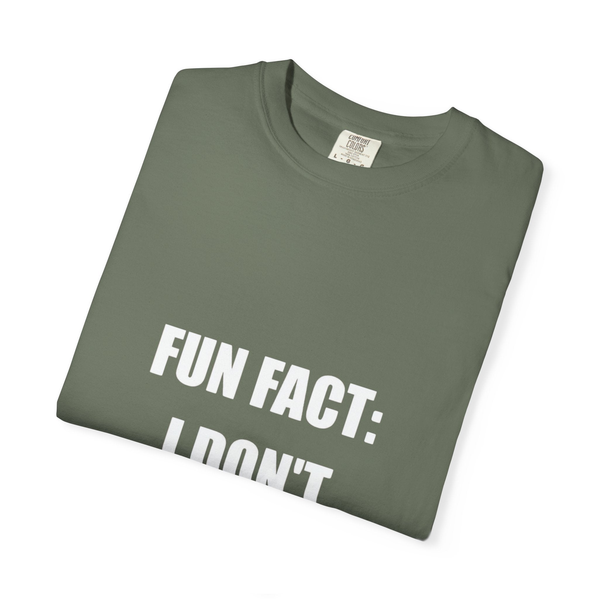 I Don't Care T-Shirt — Funny Graphic Tee, 'FUN FACT: I DON'T CARE' Casual Statement Shirt