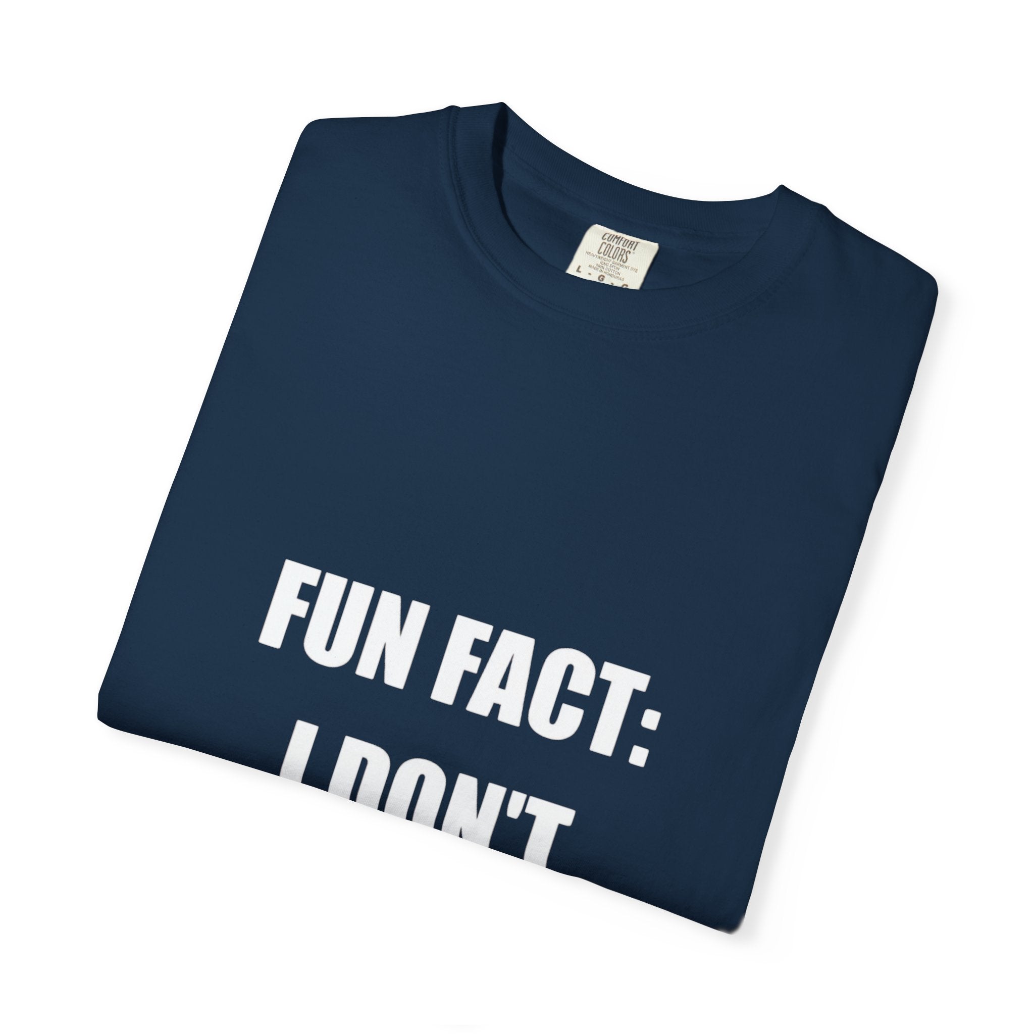 I Don't Care T-Shirt — Funny Graphic Tee, 'FUN FACT: I DON'T CARE' Casual Statement Shirt