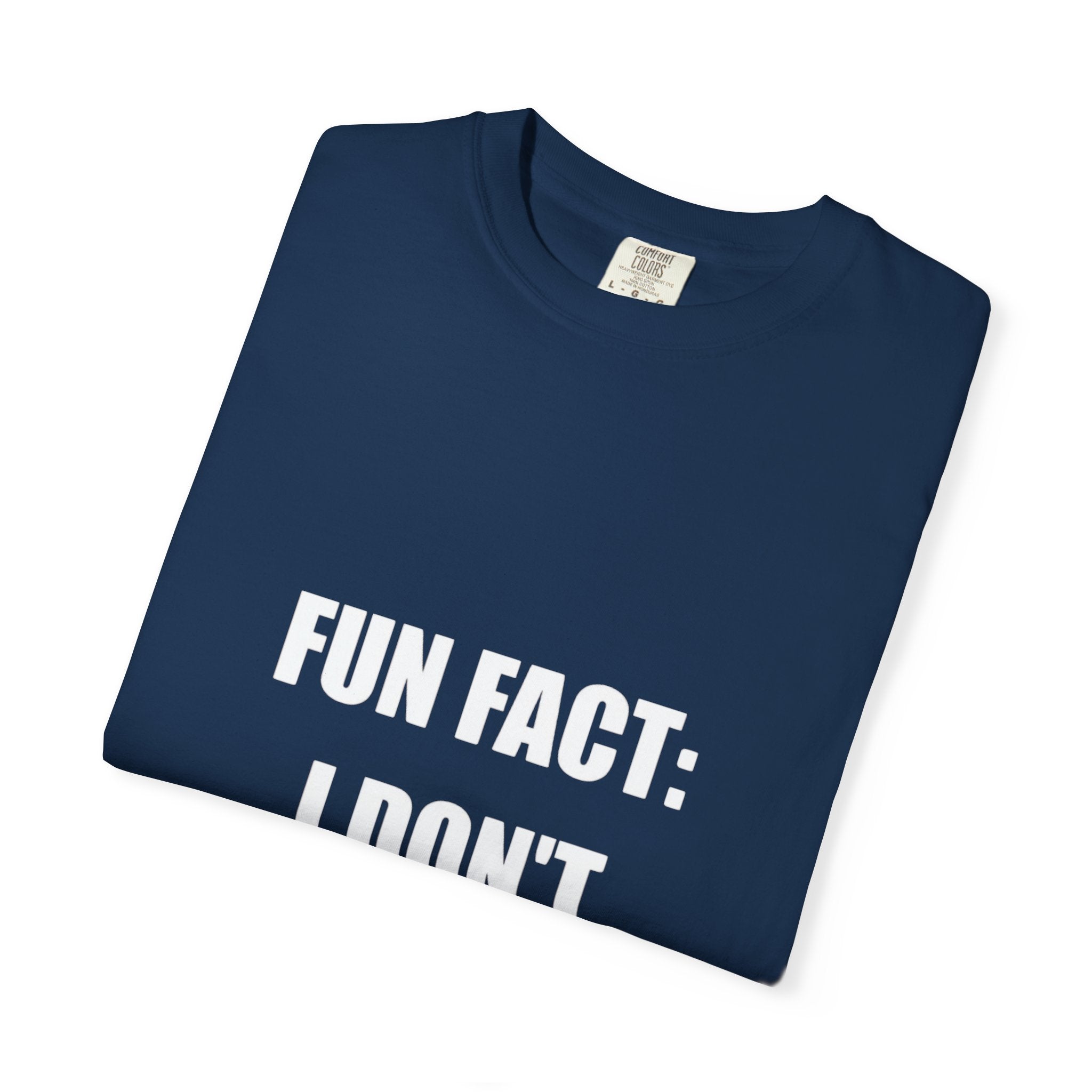 I Don't Care T-Shirt — Funny Graphic Tee, 'FUN FACT: I DON'T CARE' Casual Statement Shirt