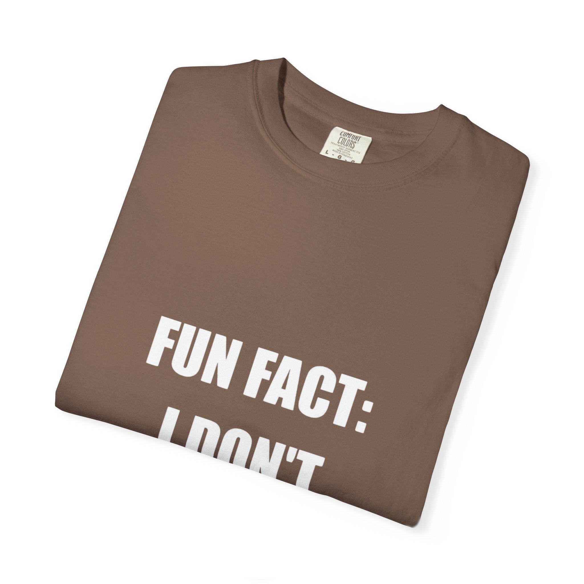 I Don't Care T-Shirt — Funny Graphic Tee, 'FUN FACT: I DON'T CARE' Casual Statement Shirt